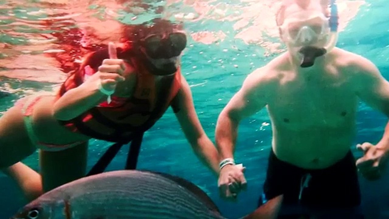 How Close Can I Beach - Se1 - Ep01 - Florida's St. George Island HD Watch HD Deutsch