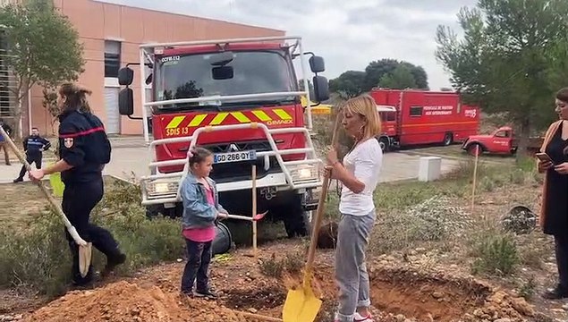 JT, Fos : 200 arbres plantés autour du centre de secours