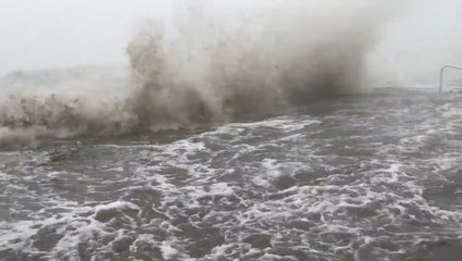 Learning from the impacts of Hurricane Ian