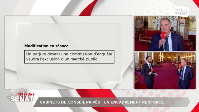 100% Sénat - Cabinets de conseil / IVG/ déserts médicaux / Chômage