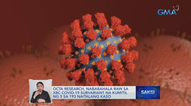 OCTA Research, nababahala raw sa XBC COVID-19 subvariant na kumitil ng 5 sa 193 naitalang kaso | Saksi