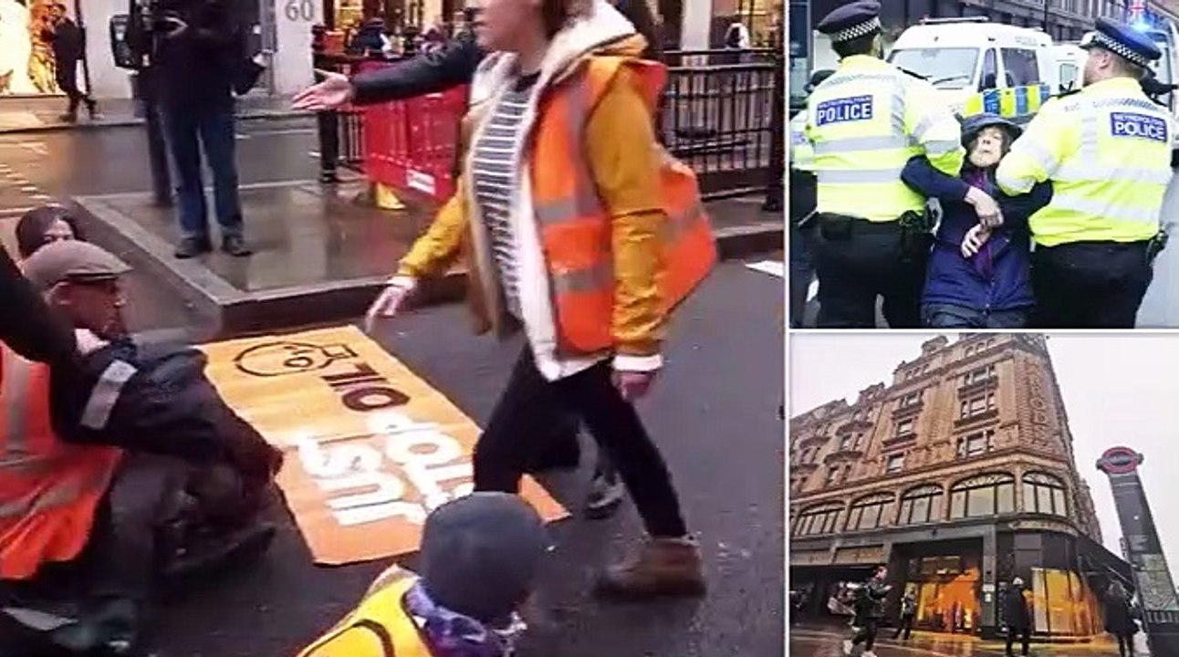 Londoners fight back against the eco mob! Moment furious man in suit DRAGS Just Stop Oil activists off the road yelling 'people have got places to be' after protesters spray-painted entrance to Harrods