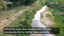 Siyah akan derede balık ölümleri sonrasında Edirne Valiliği'nden açıklama