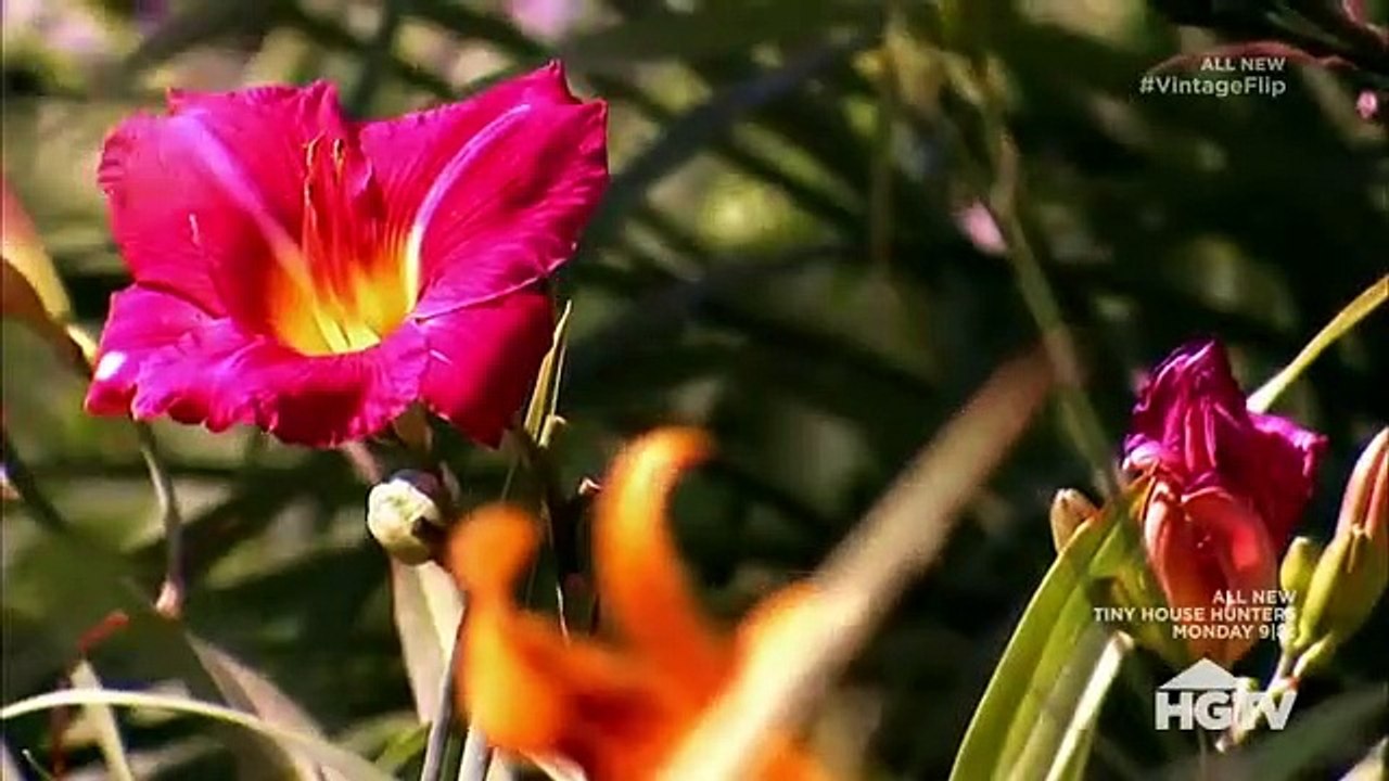 Vintage Flip - Se2 - Ep05 - Prairie Cottage HD Watch HD Deutsch