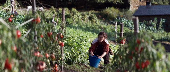 AS BESTAS - Tráiler 2 Español [HD] (2022)