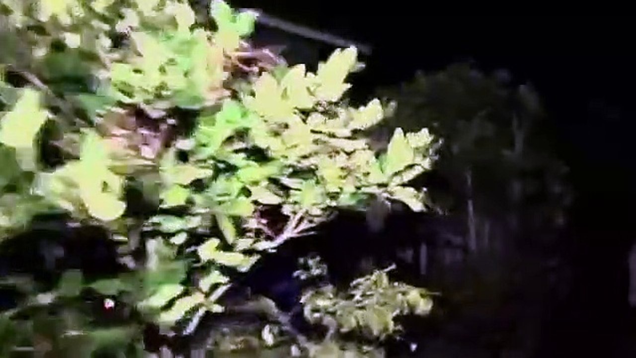 Mur-'der House Flip - Se1 - Ep07 - Frederick Hengl House - Part 1 HD Watch HD Deutsch