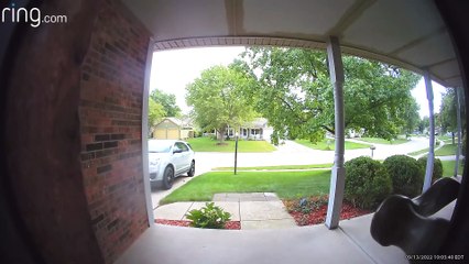 L'oiseau picore à la sonnette de l'anneau - Buzz Buddy