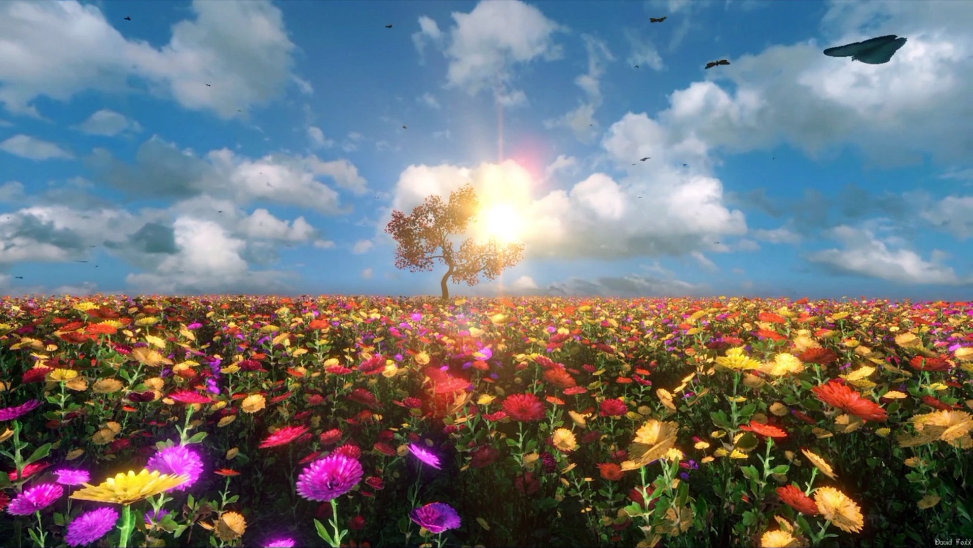 8K Video Butterflies  Flowers Tree Noture