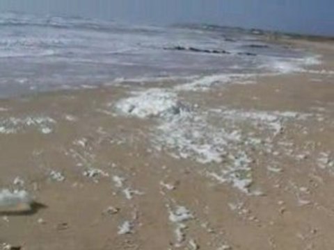 tempête brétignolles sur mer les dunes mars 2008