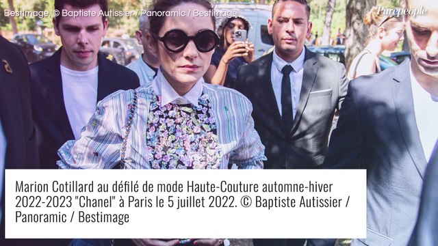 Marion Cotillard et Guillaume Canet : La naissance de leur histoire d'amour, sur fond d'infidélité ?