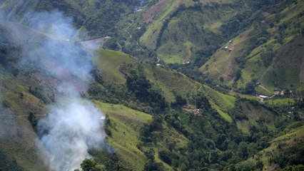 Los departamentos con más cultivos de coca en Colombia