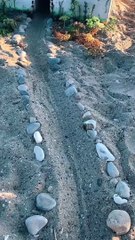 Turning a Cement Cube on the Beach into Tooth Fairy's Beach House