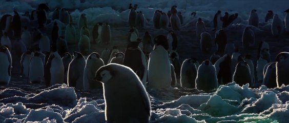 L'Empereur Bande-annonce (IT)