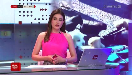 Chile: Sorprenden a un boliviano transportando en un maletero a 10 cachorros, uno murió