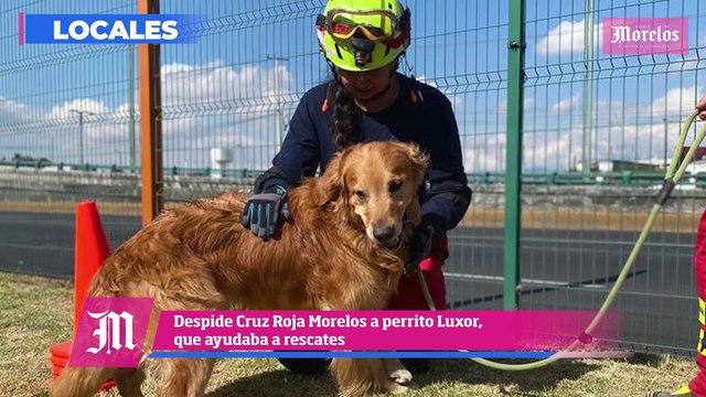 Se confirma la detención de un fugitivo buscado por la DEA, esto y mucho más en Diario de Morelos Informa