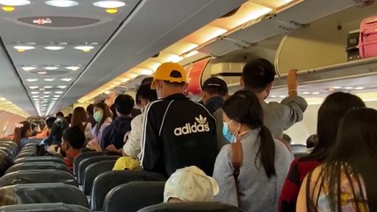 Internet em aviões: o que muda com o Starlink Aviation?