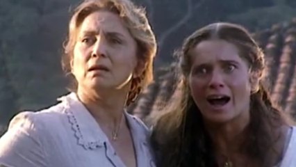 O REI DO GADO - Capítulo 2  Resumo Completo da Novela O Rei do Gado