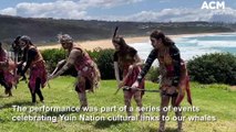 Sapphire Coast Whale Trail Cultural Event, 15-10-22, Bega District News