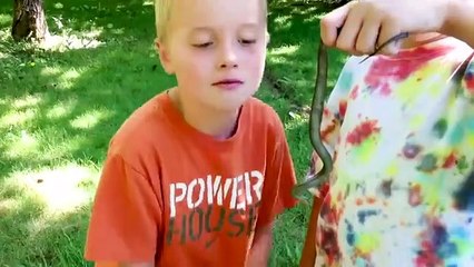 Funny Fun Comedy Cool Videos