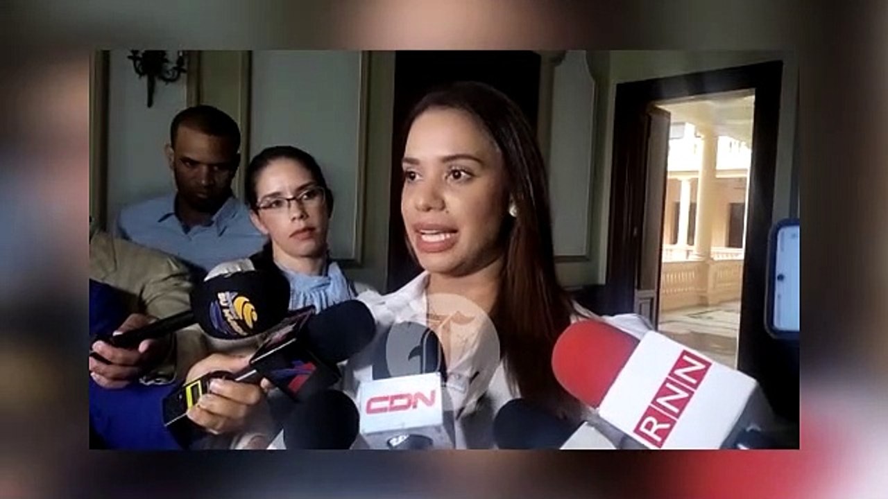 Se producen varias reuniones gubernamentales sobre seguridad ciudadana por hechos violentos en SDN