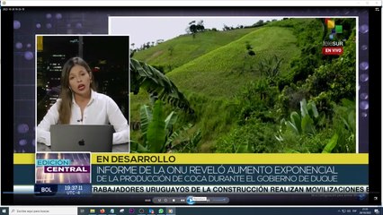 Edición Central 20-10: Producción de coca en Colombia aumentó durante gobierno de Iván Duque
