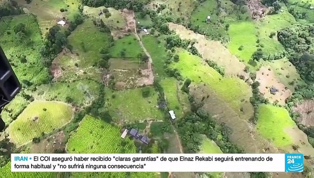 Colombia registra récord de áreas cultivadas con hoja de coca