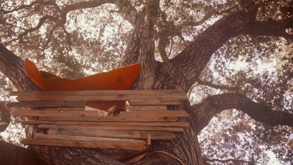 The Backseat Lovers - Follow the Sound (Audio)