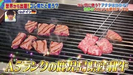 Sekakura Compares the World P2 19.10.2022