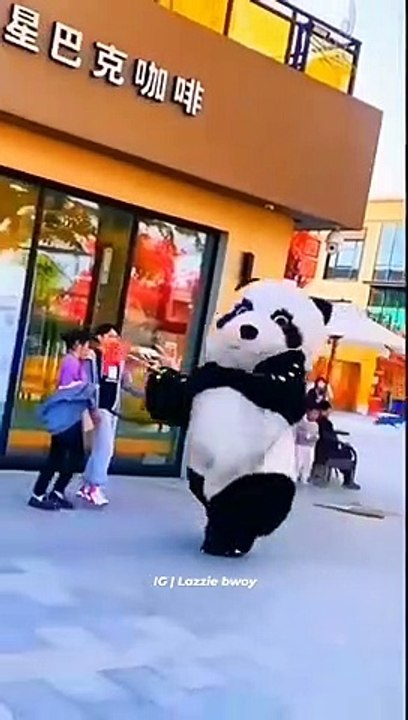 funny babies,funny prank,funny animals,funny videos,funny comedy,funny shorts,funny videos 2022,funny video new,funny videos english