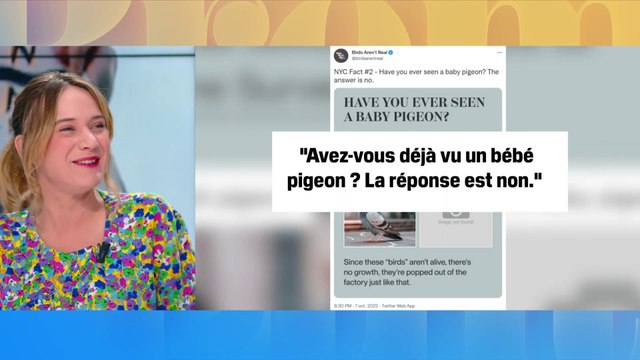Le choix d'Angèle - Les oiseaux ne sont pas réels , la parodie d'une théorie du complot qui se moque de la désinformation