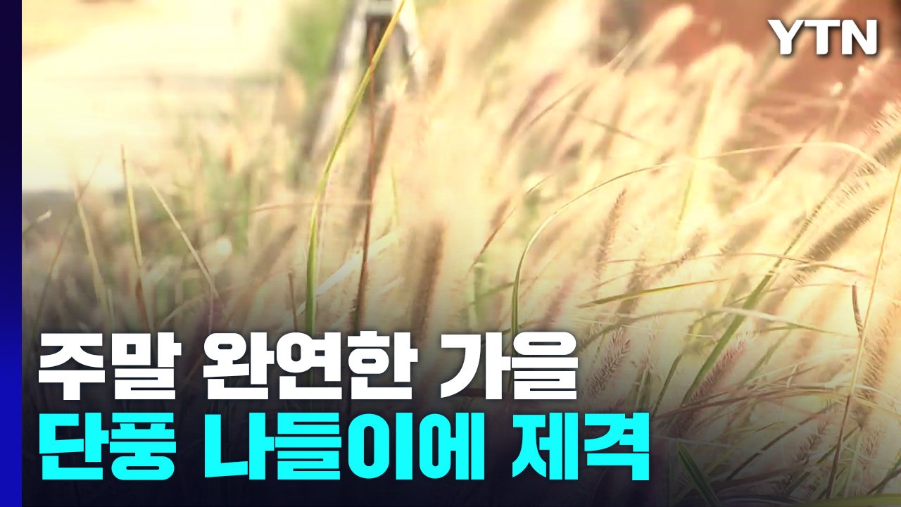 [날씨] 주말∼휴일, 완연한 가을...중서부 내일도 공기 탁해 / YTN