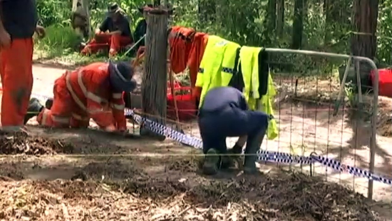 Queensland man found guilty of 2017 murder with mulching machine