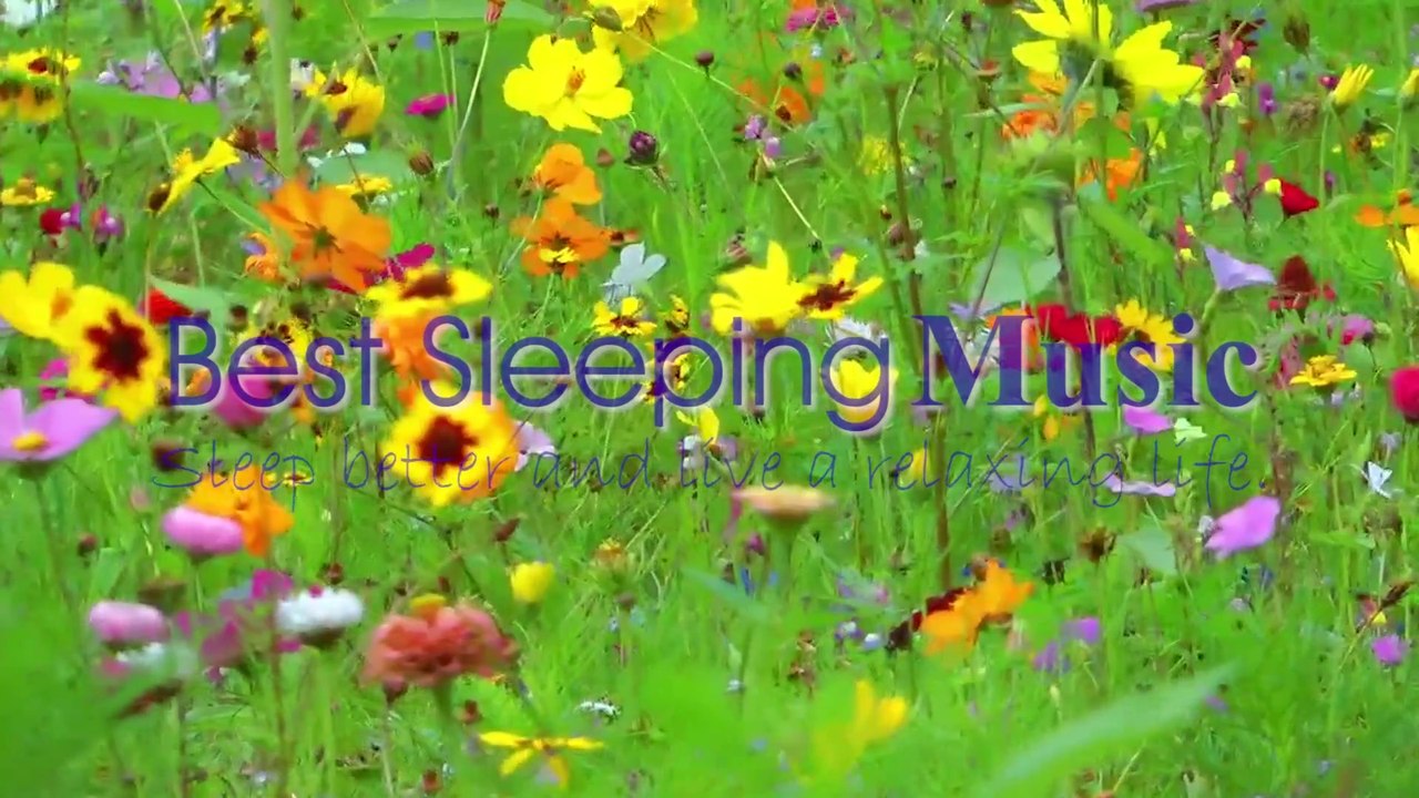 Beautiful relaxing music l yspring music for nerves l Best Sleeping Music l @ Angelic Dream