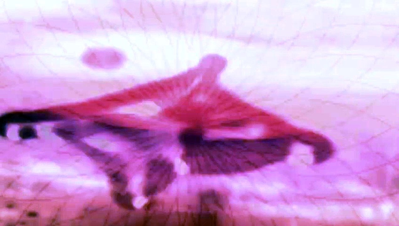 Raise Your Vibration in 10 Minutes - 432hz Music