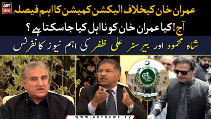 ECP cannot give a declaration of ineligibility, Barrister Ali Zafar