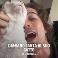 Il dolcissimo video su TikTok: Damiano canta al suo gatto