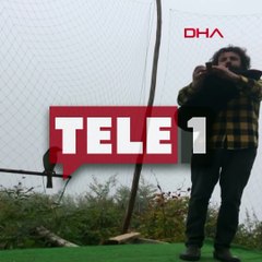 Rizeli vatandaş tulum çalarken ağına atmaca takıldı