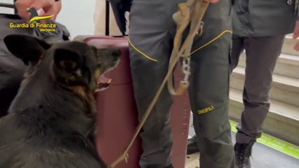 Trasportava cocaina dalla Svizzera, arrestato a Verbania