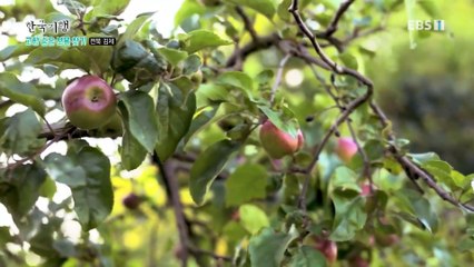 한국기행 - Korea travel_고향 숨은 보물찾기 5부- 명랑 귀촌 일기_#002