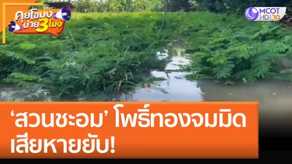 'สวนชะอม' โพธิ์ทองจมมิด เสียหายยับ! (20 ต.ค. 65) คุยโขมงบ่าย 3 โมง