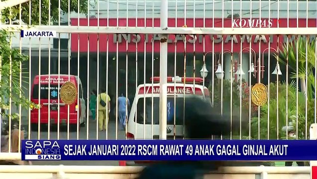 2 Anak di Sumsel Dilaporkan Meninggal Dunia, Diduga Karena Gagal Ginjal Misterius Akut