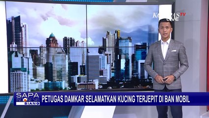 Petugas Damkar Kota Medan Selamatkan Seekor Kucing yang Terjepit di Ban Mobil