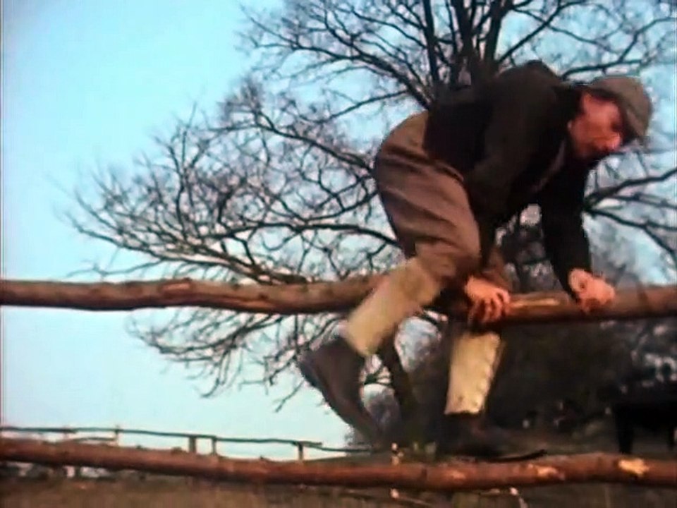 Black Beauty Staffel 1 Folge 2 HD Deutsch