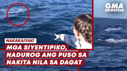 Mga siyentipiko, nadurog ang puso sa nakita nila sa dagat | GMA News Feed