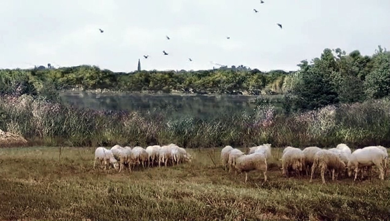 Copper - Justice is brutal Staffel 1 Folge 5 HD Deutsch