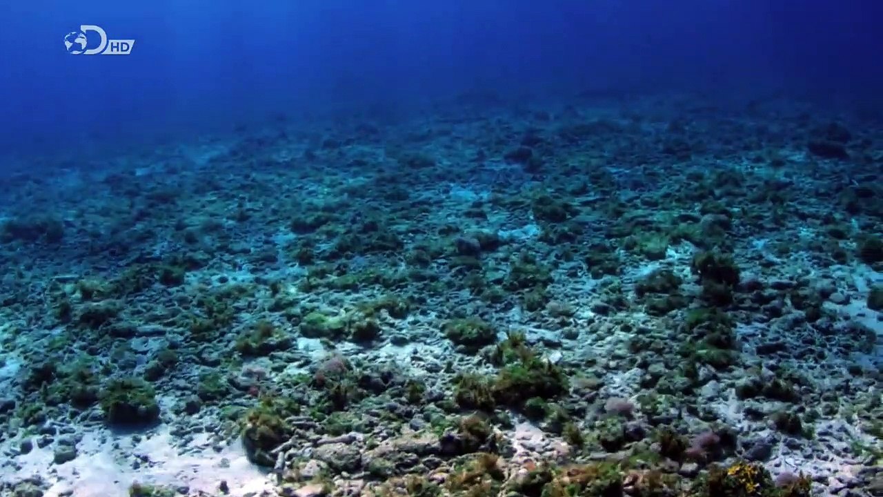 Coopers Geheimnis - Vermächtnis eines Astronauten Staffel 2 Folge 3 HD Deutsch