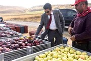 Bitlis haberleri | Ahlat elması yurt dışı pazarında