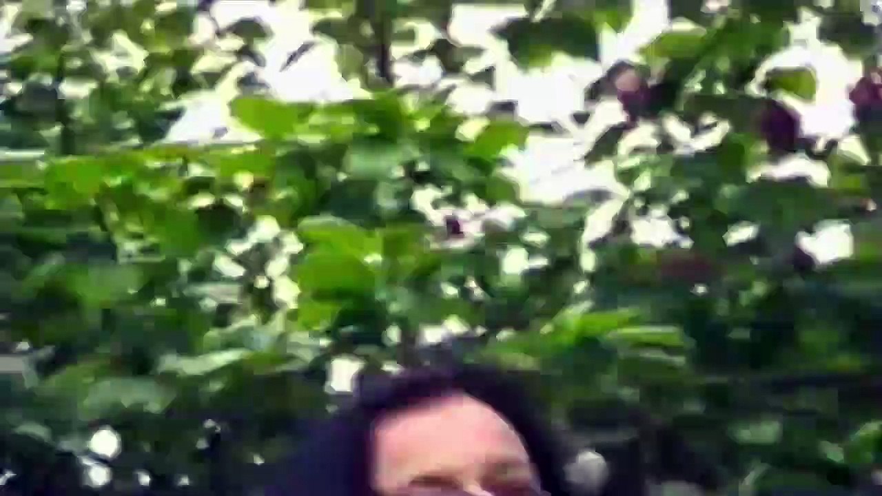 True Horror (2018) Staffel 1 Folge 3 HD Deutsch