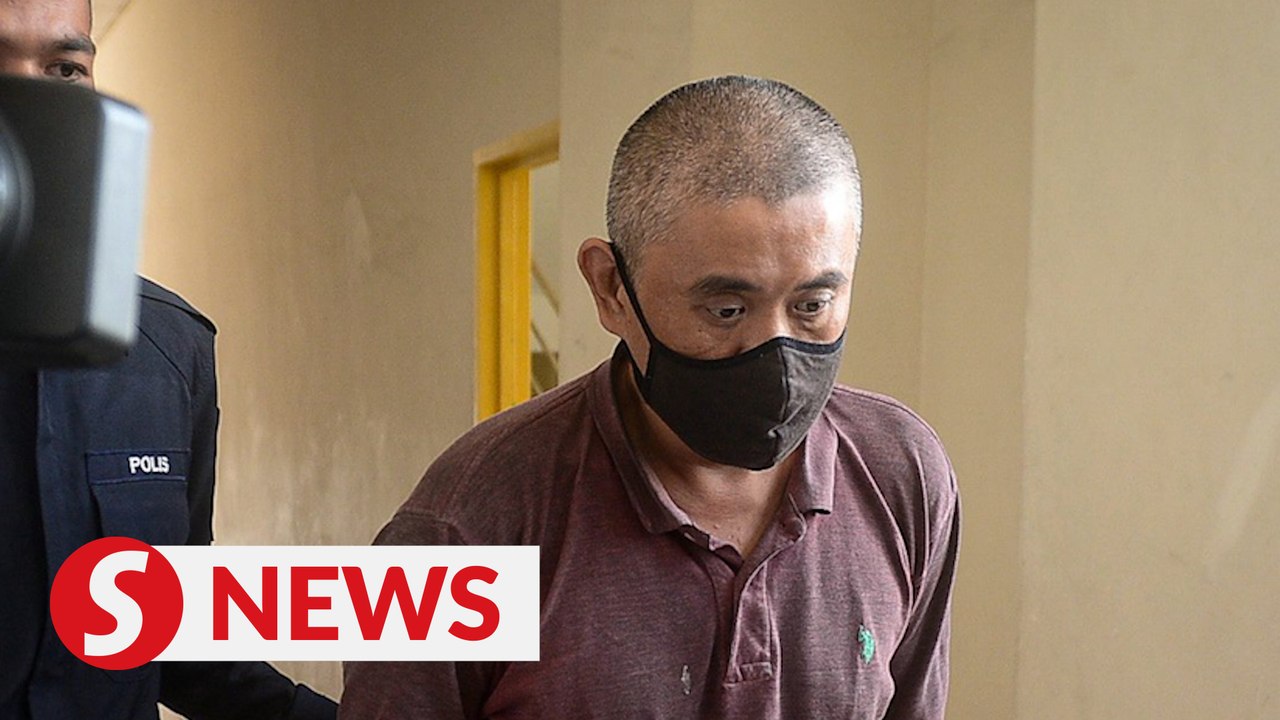 Property manager charged with flinging cat to death from 15th floor