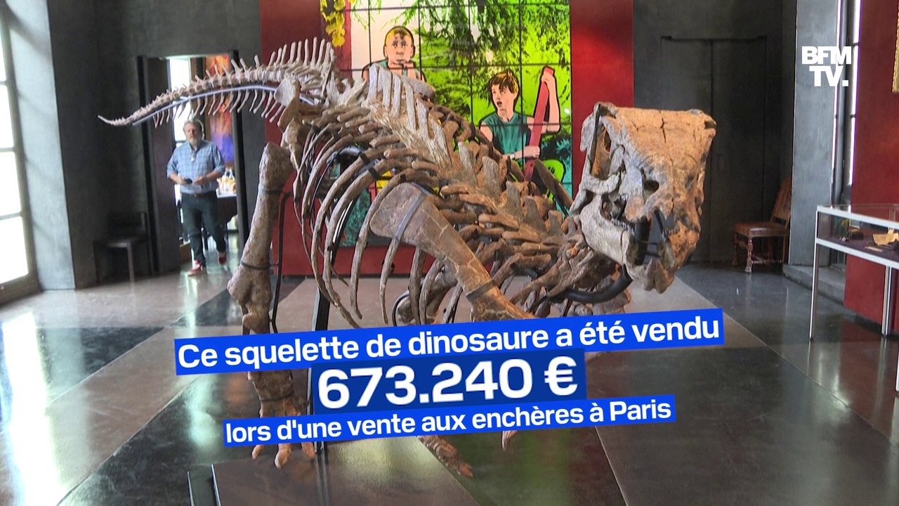 Ce squelette de dinosaure a été vendu plus de 600.000€ lors d'une vente aux enchères à Paris